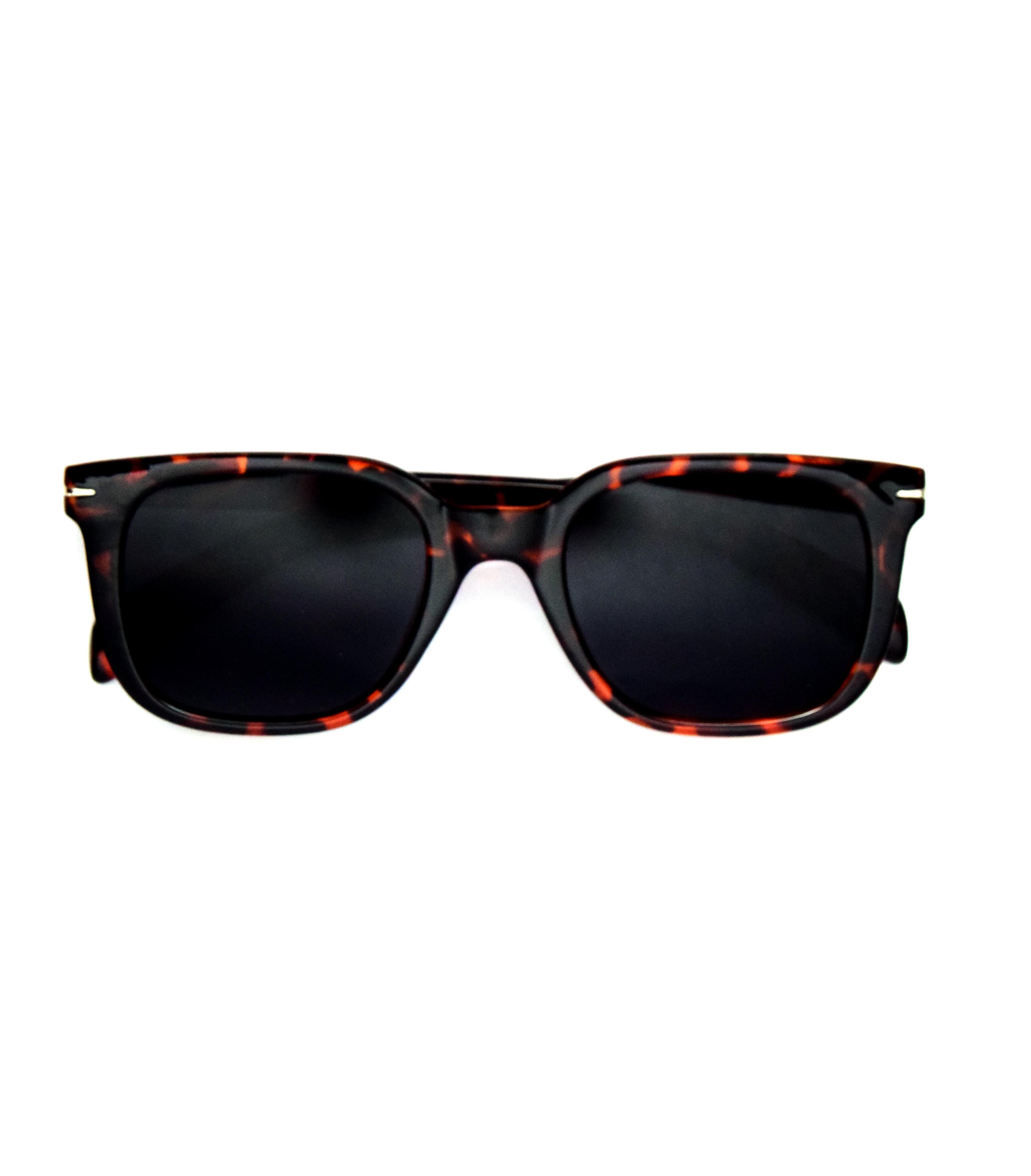 Ember Tortoise